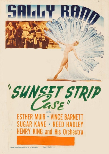 Sunset Strip Case poster