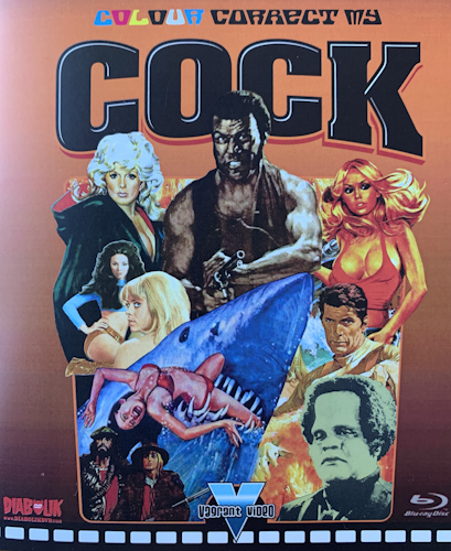 Colour Correct My Cock poster