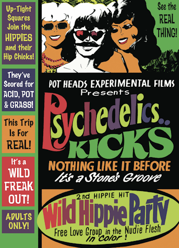 Psychedelic Sex Kicks poster