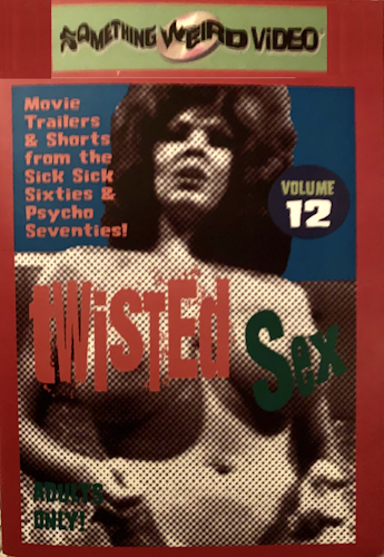 Twisted Sex, Vol 12 poster