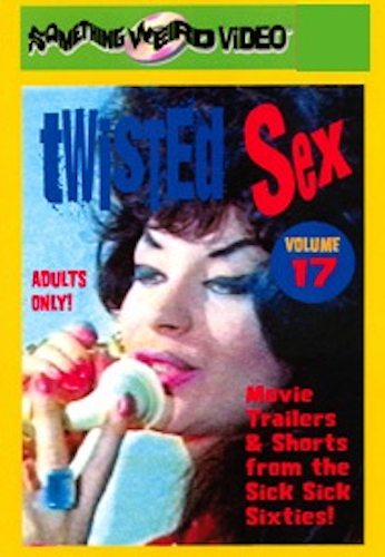 Twisted Sex, Vol 17 poster