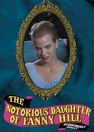 The Notorious Daughter of Fanny Hill poster