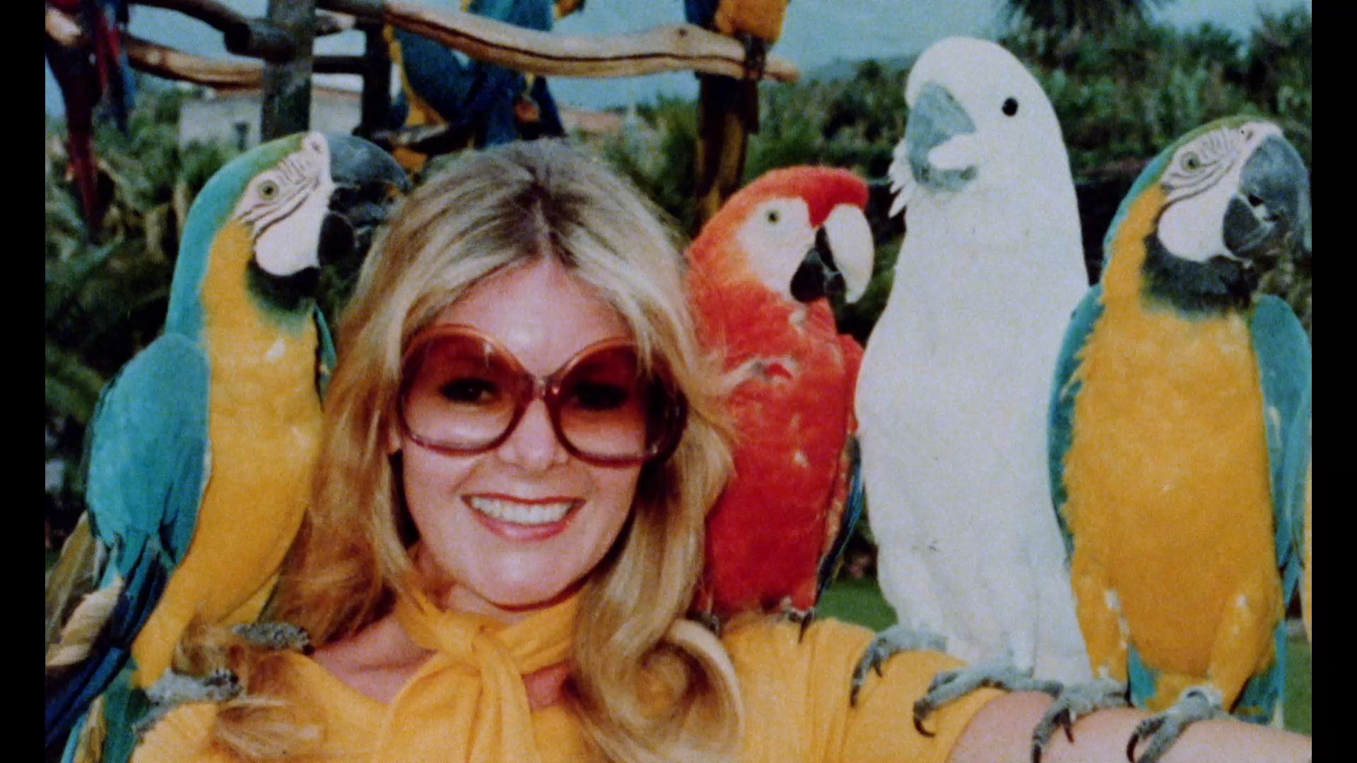 mary-millington-s-true-blue-confessions-prologue-cultpix