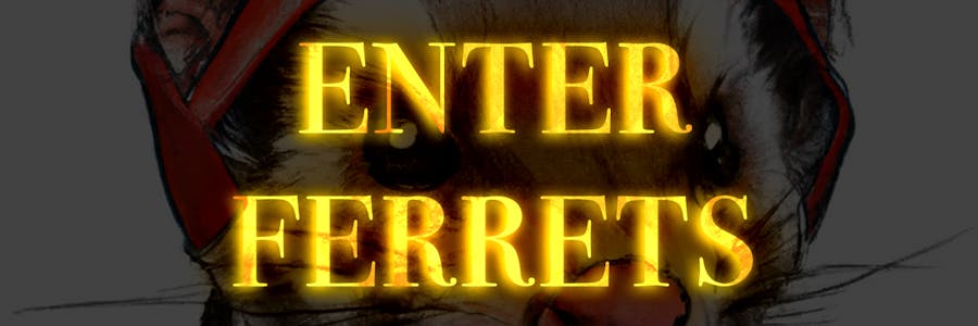 Enter Ferrets