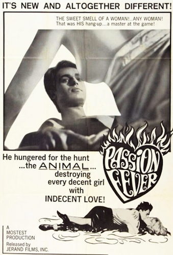 Passion Fever poster