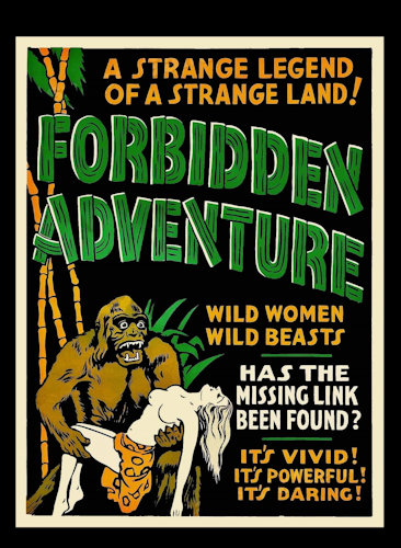 Forbidden Adventure poster