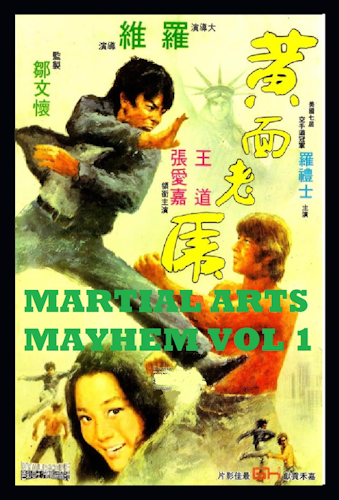Martial Arts Mayhem Vol 1 poster