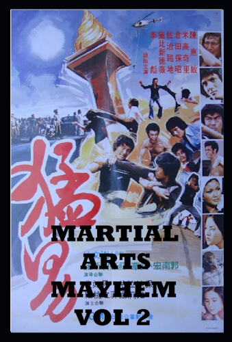 Martial Arts Mayhem Vol 2 poster