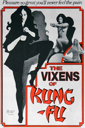 The Vixens of Kung-Fu poster