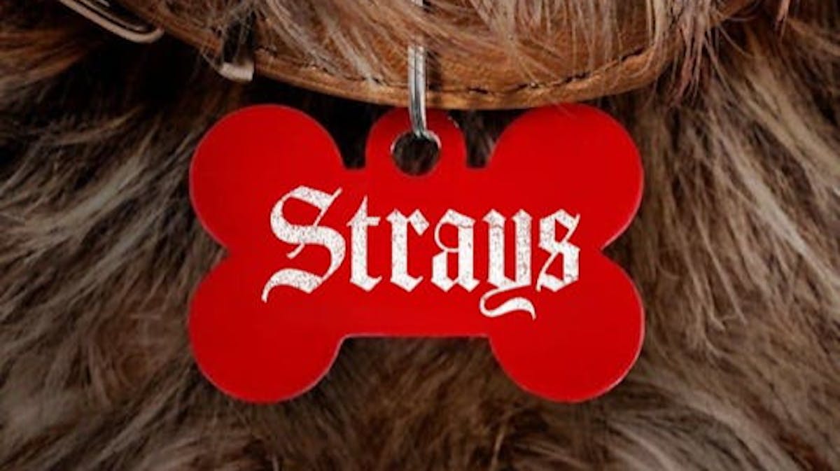 Strays - Hump Day Screening