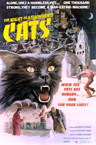 La noche de los mil gatos poster