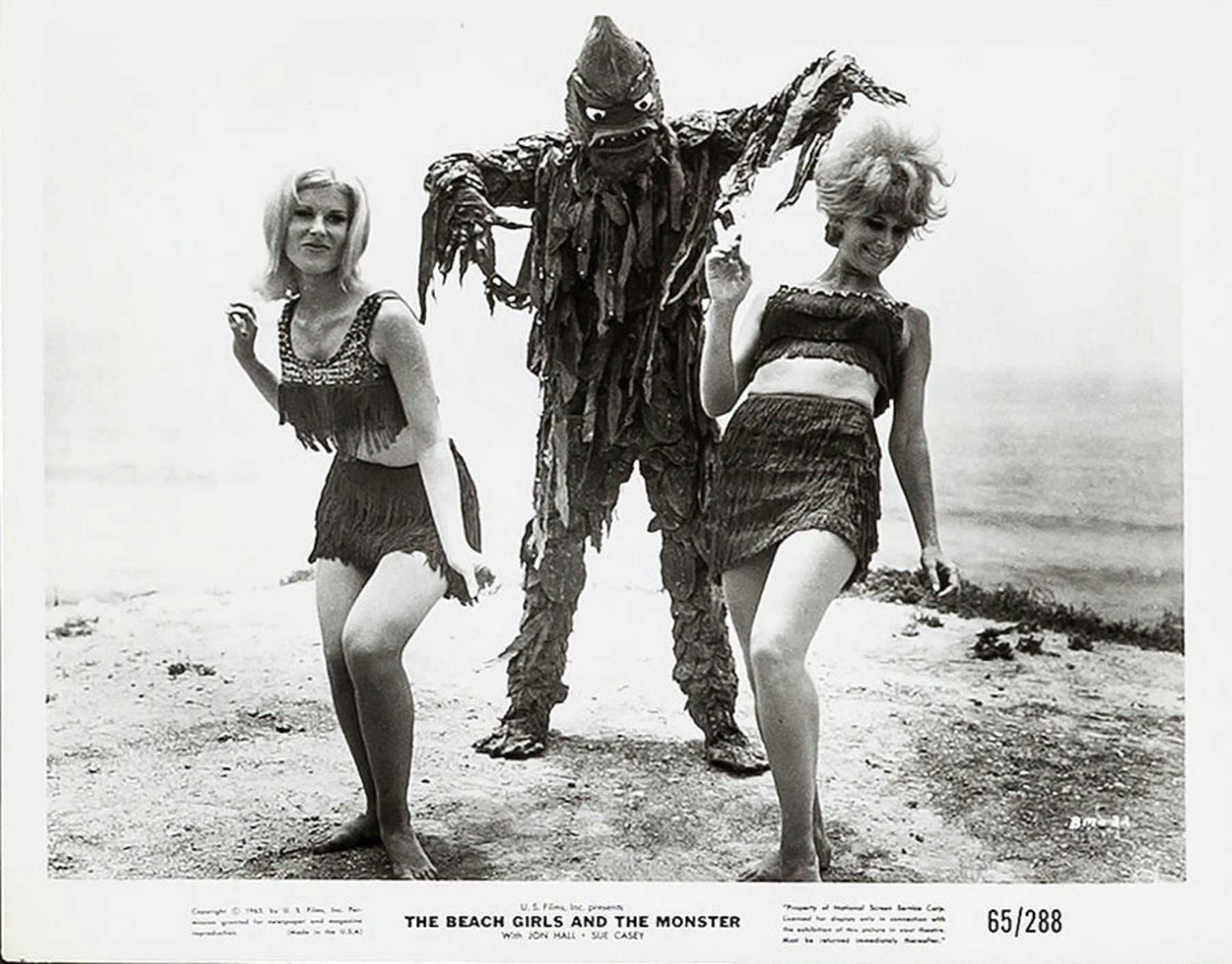 The Beach Girls and the Monster Cultpix