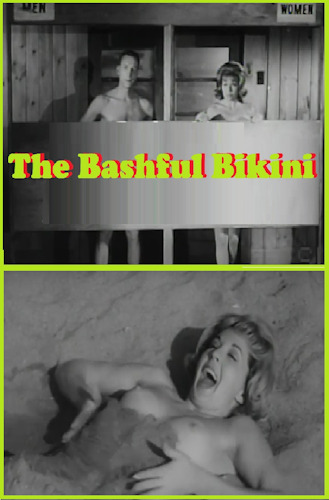 The Bashful Bikini poster