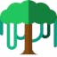 Canopy
