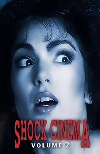 Shock Cinema Vol 2 poster