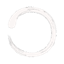 ZenStack