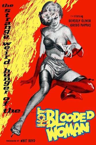 Hot Blooded Woman poster