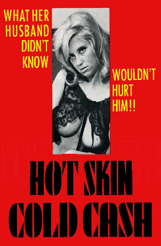 Hot Skin Cold Cash poster