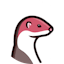 Stoat
