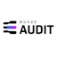 Bunzz Audit
