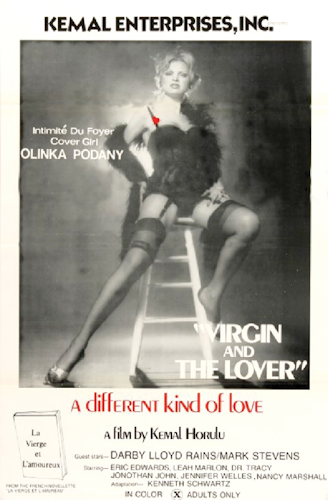 Virgin and the Lover poster