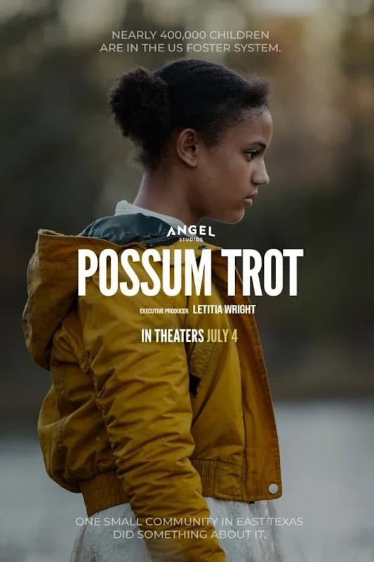 Голос опоссума. Awesome possum сега. Рингтейл опоссум. Поссум спрингс. Самец поссум-медоед.