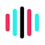 TikTok Voice