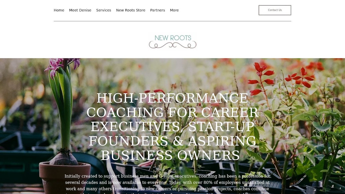 New Roots Living career coach website