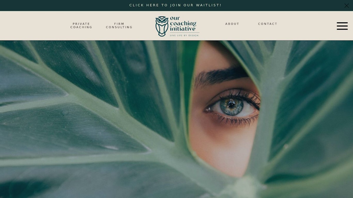Coaching Initiative health coach website