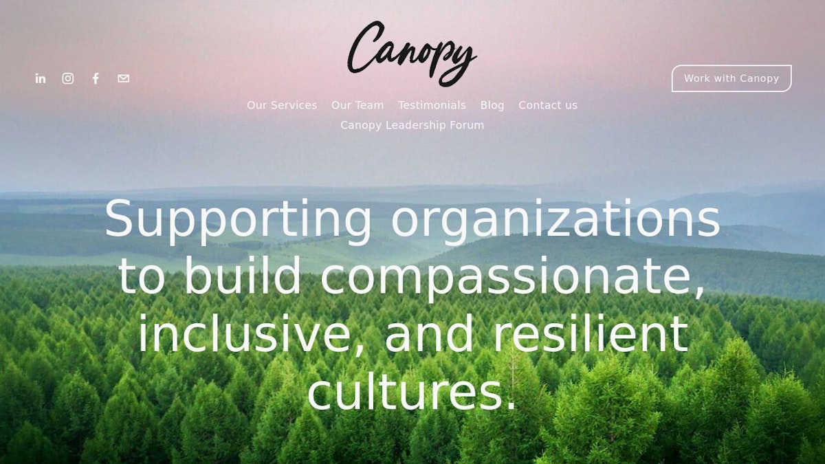 Canopy leadership coach website