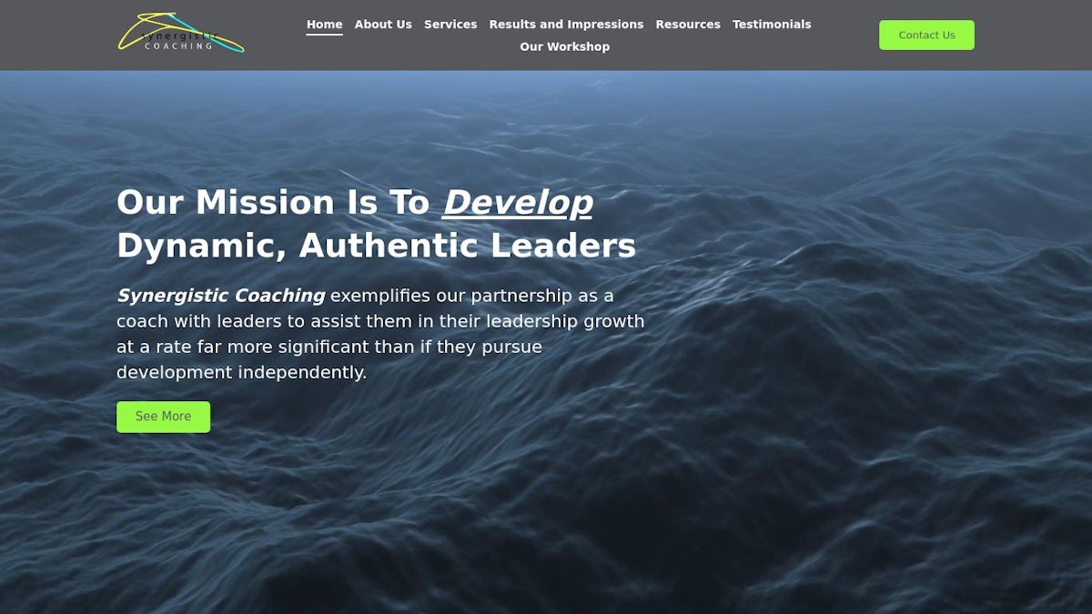 Synergistic Coaching leadership coach website