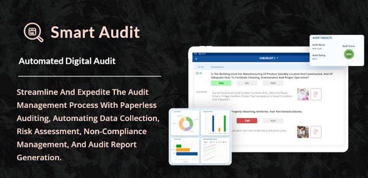 Smart Audit 