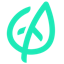 TravelMint