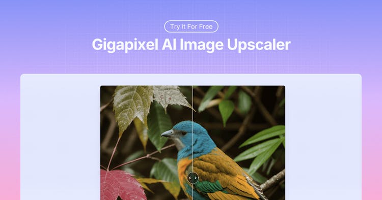 Gigapixel AI Image Upscaler
