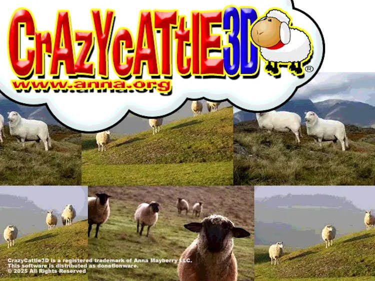 crazy cattle 3d