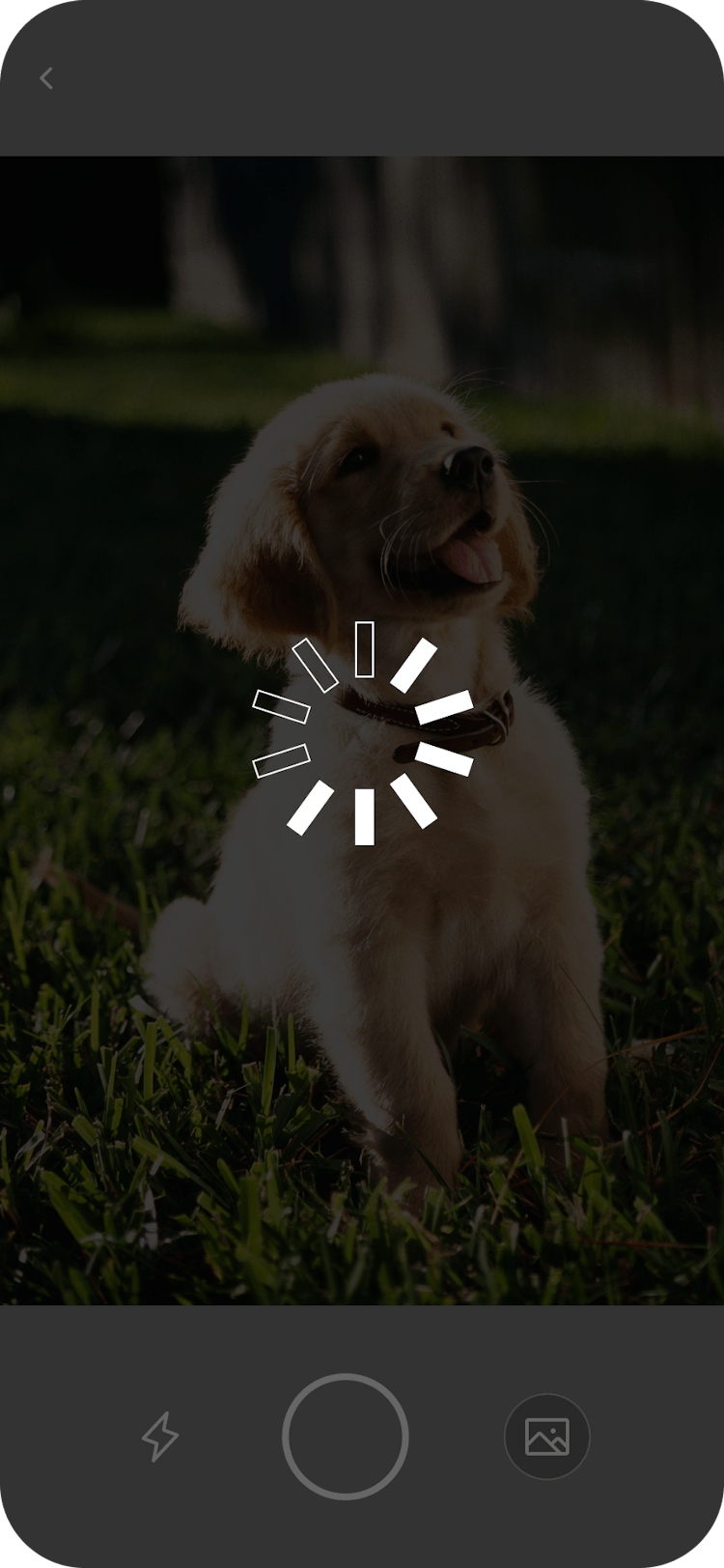 AI pet tech app