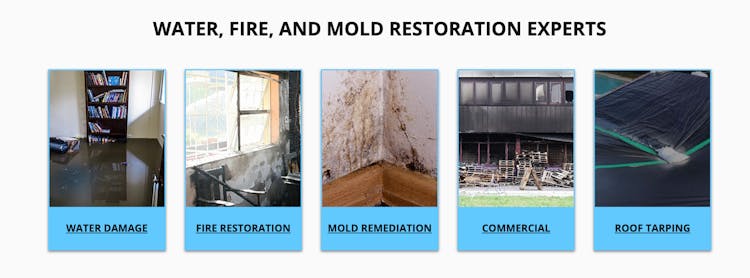 Total Care Restoration