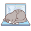Array Cat