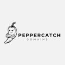 The Hottest Expired Domains, Daily.