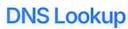 DNS Lookup