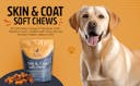Arlo Pet Supplies