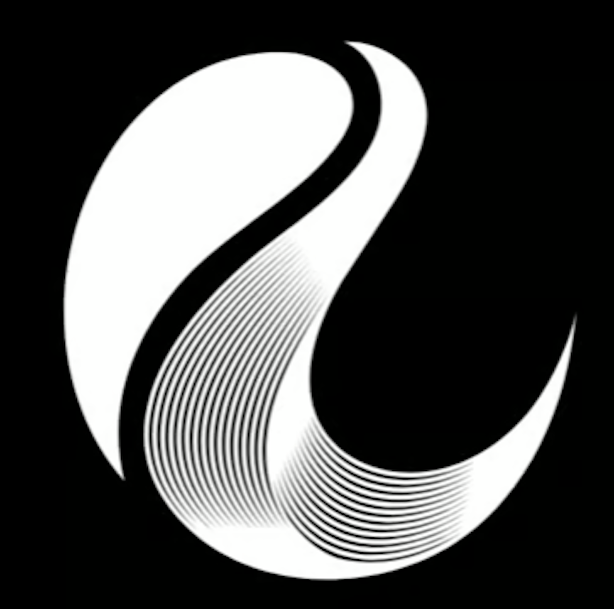 EchoSuite logo