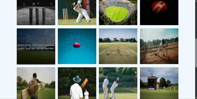 Image search app made using unsplash API