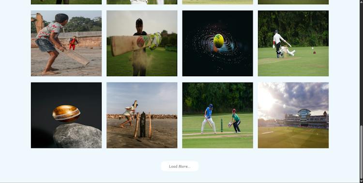 Image search app made using unsplash API