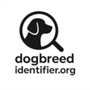Free Online Dog Breed Recognition