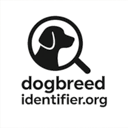 AI Dog Breed Identifier