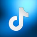 Your TikTok year. Visualized.