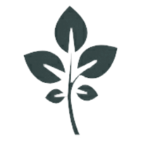 GrapeVine Social logo