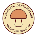 Your Al Mushroom ldentification Assistant