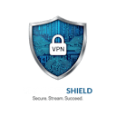 Your Shield in the World of VPNs.